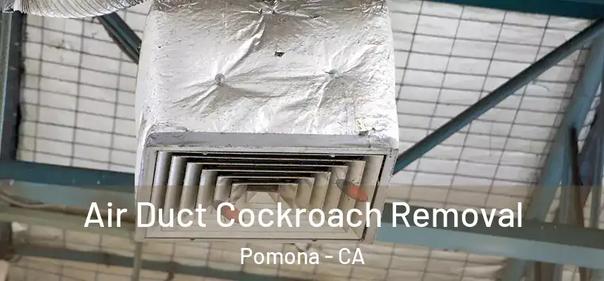 Air Duct Cockroach Removal Pomona - CA