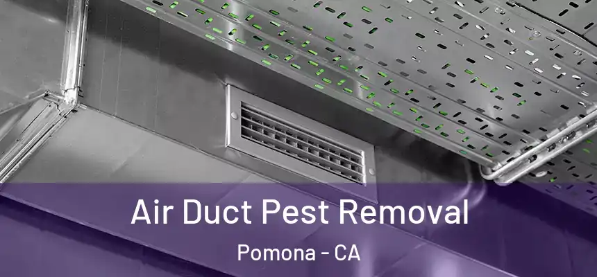  Air Duct Pest Removal Pomona - CA