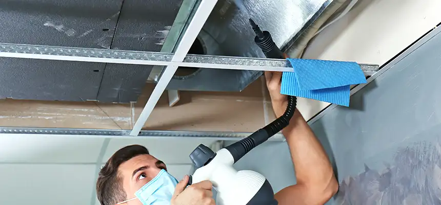 Our Air Duct Rodent Removal Services in Pomona, CA