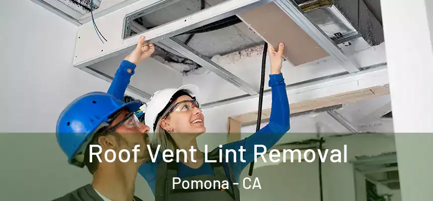  Roof Vent Lint Removal Pomona - CA
