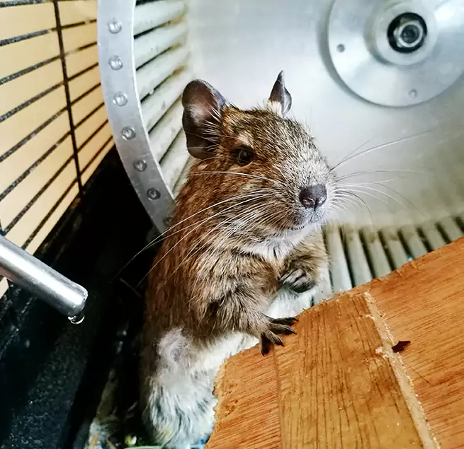 Why Homeowners & Businesses Trust Us Pomona, CA