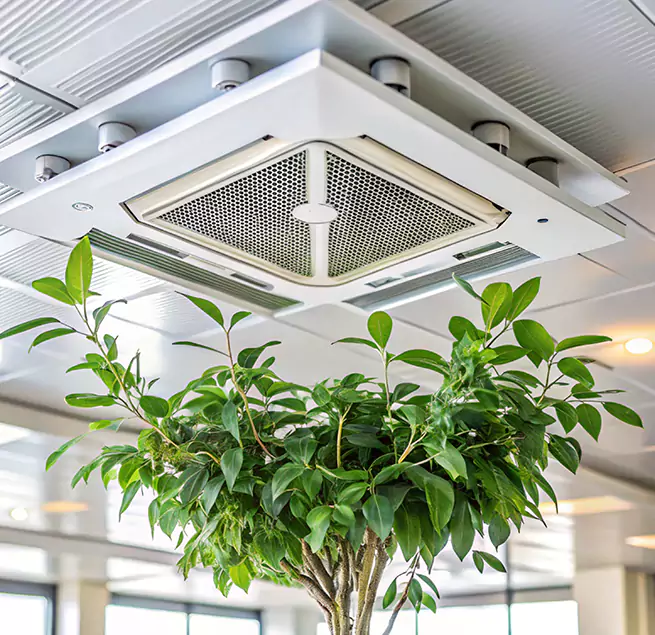 Why Homeowners & Businesses Trust Us in Pomona, CA?